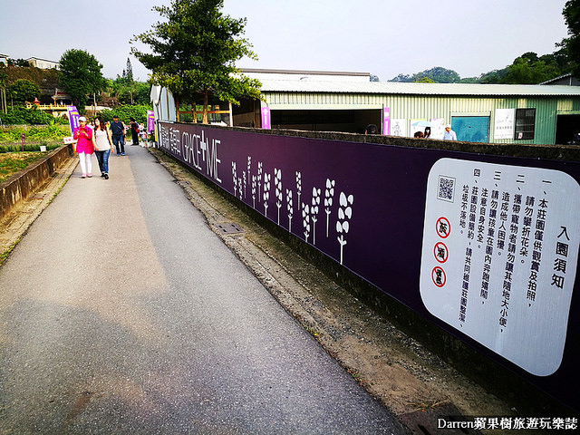 ig打卡景點,苗栗景點,葛瑞絲香草田,薰衣草花海,苗栗新景點,花海景點
