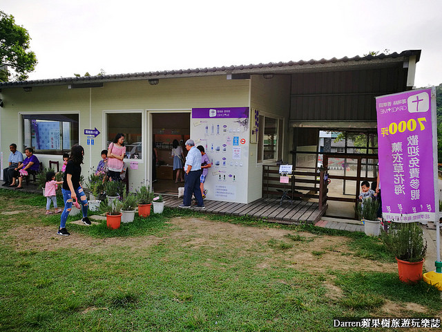 ig打卡景點,苗栗景點,葛瑞絲香草田,薰衣草花海,苗栗新景點,花海景點