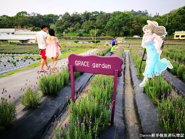 ig打卡景點,苗栗景點,葛瑞絲香草田,薰衣草花海,苗栗新景點,花海景點