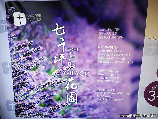 ig打卡景點,苗栗景點,葛瑞絲香草田,薰衣草花海,苗栗新景點,花海景點