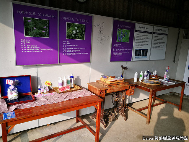 ig打卡景點,苗栗景點,葛瑞絲香草田,薰衣草花海,苗栗新景點,花海景點