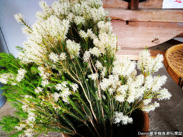 ig打卡景點,苗栗景點,葛瑞絲香草田,薰衣草花海,苗栗新景點,花海景點