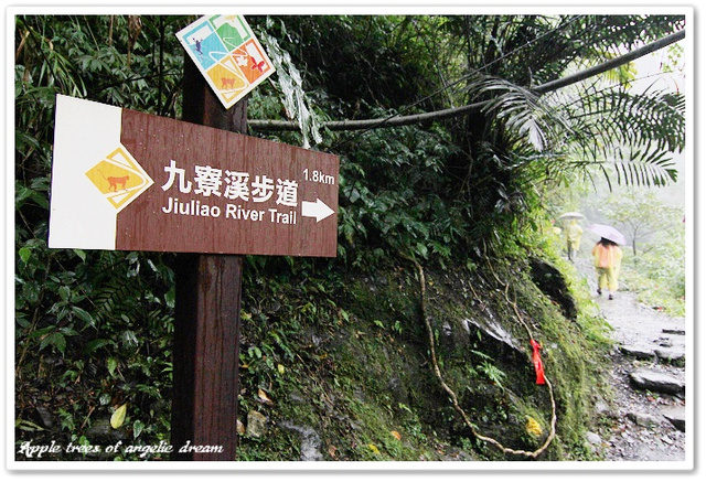 【遊記-宜蘭大同】綠色生態秘境.九寮溪自然步道 @Darren蘋果樹旅遊玩樂誌 @Darren蘋果樹旅遊玩樂誌
