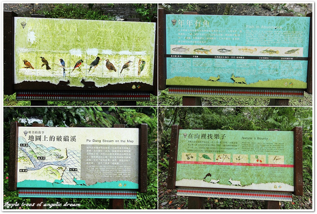 【遊記-宜蘭大同】綠色生態秘境.九寮溪自然步道 @Darren蘋果樹旅遊玩樂誌 @Darren蘋果樹旅遊玩樂誌