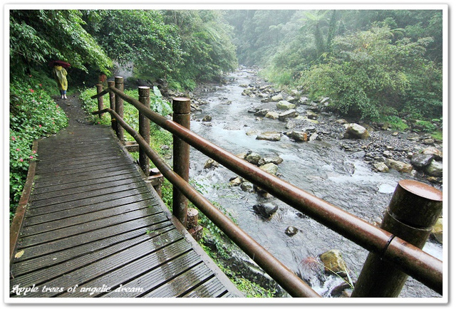 【遊記-宜蘭大同】綠色生態秘境.九寮溪自然步道 @Darren蘋果樹旅遊玩樂誌 @Darren蘋果樹旅遊玩樂誌