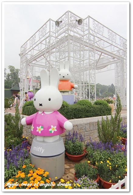 【遊記-苗栗】Miffy桐樂會—西湖渡假村賞桐花去 @Darren蘋果樹旅遊玩樂誌 @Darren蘋果樹旅遊玩樂誌