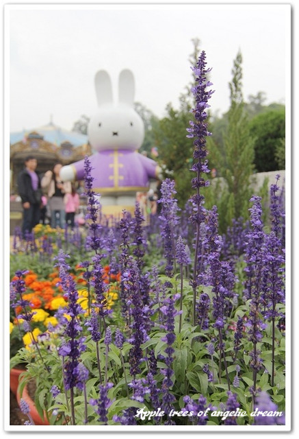 【遊記-苗栗】Miffy桐樂會—西湖渡假村賞桐花去 @Darren蘋果樹旅遊玩樂誌 @Darren蘋果樹旅遊玩樂誌