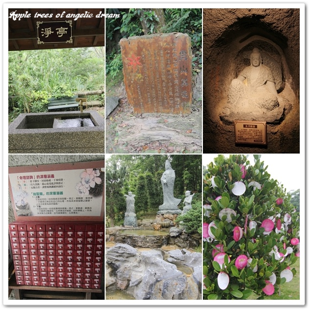 【遊記-苗栗】Miffy桐樂會—西湖渡假村賞桐花去 @Darren蘋果樹旅遊玩樂誌 @Darren蘋果樹旅遊玩樂誌