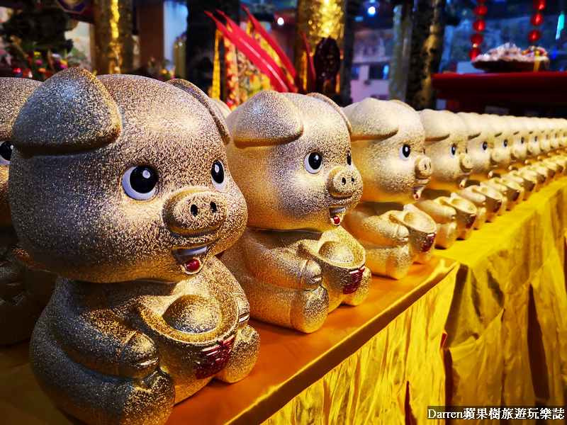 桃園走春景點|2019桃園護國宮太子遊樂園/桃園太子廟遊樂設施春節免費搭順遊中路復育公園花海