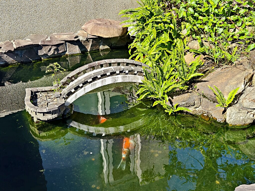 小橋流水餐廳石門活魚