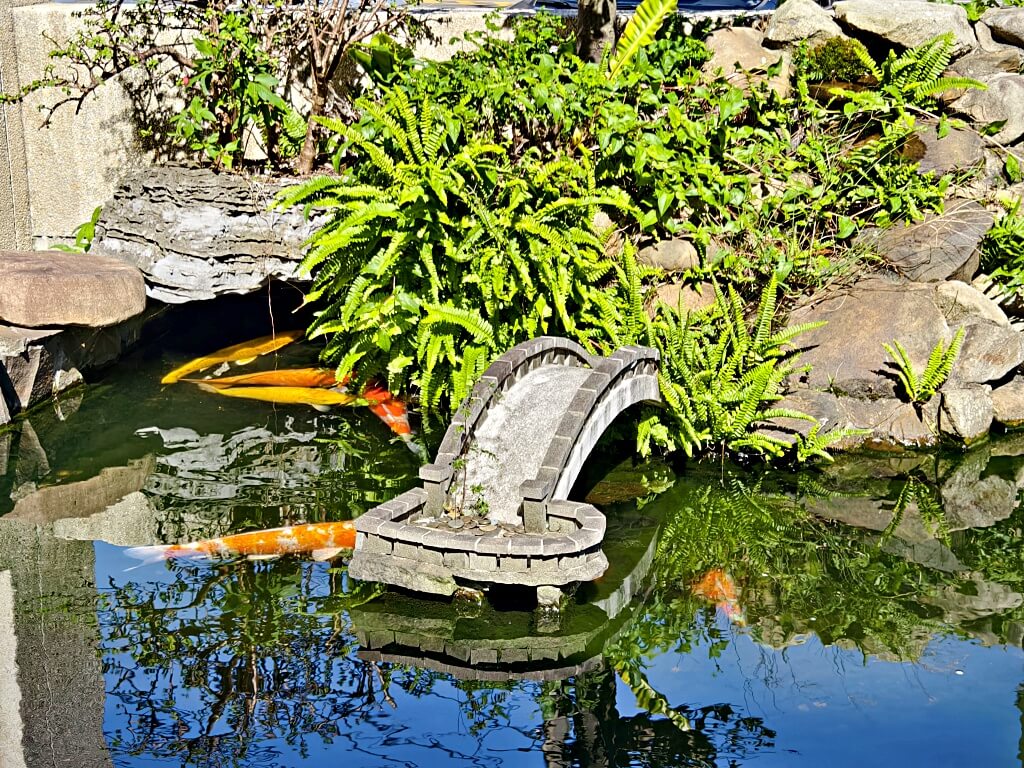 小橋流水餐廳石門活魚