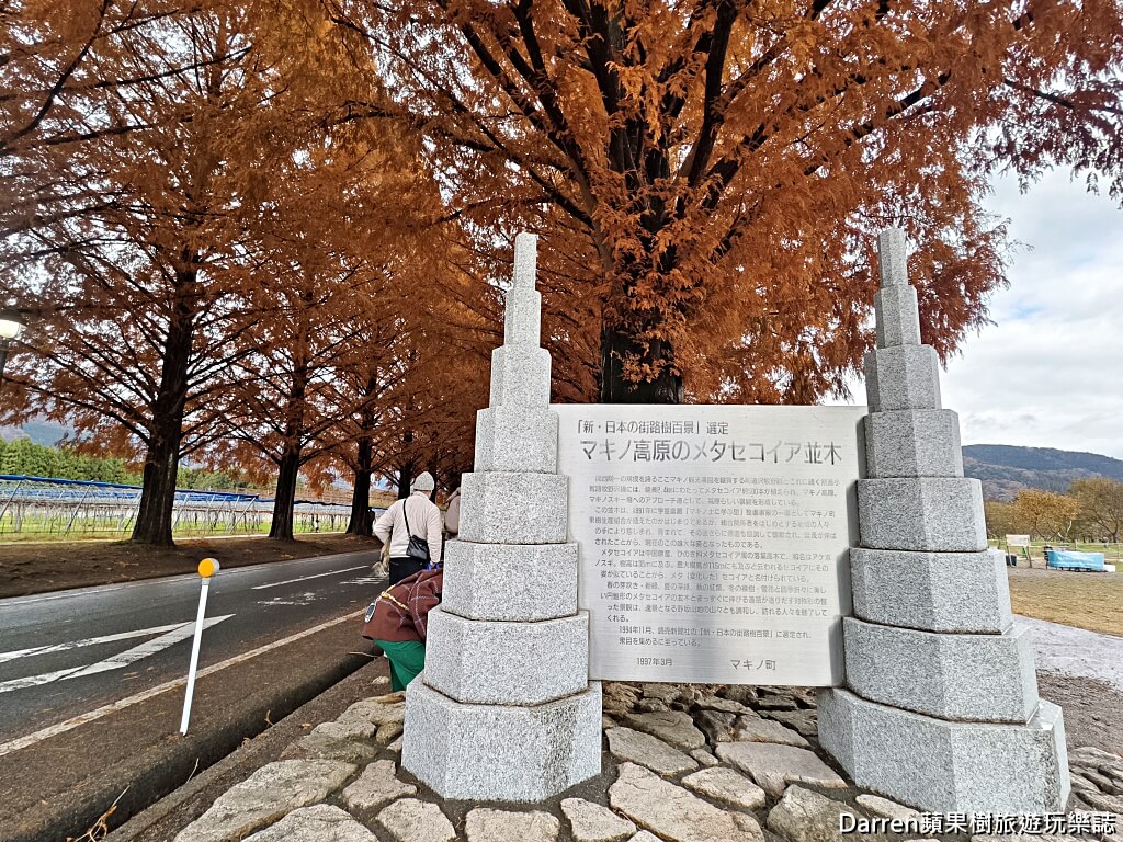水杉林蔭大道