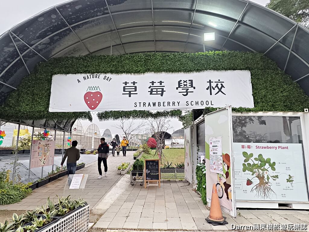 草莓學校