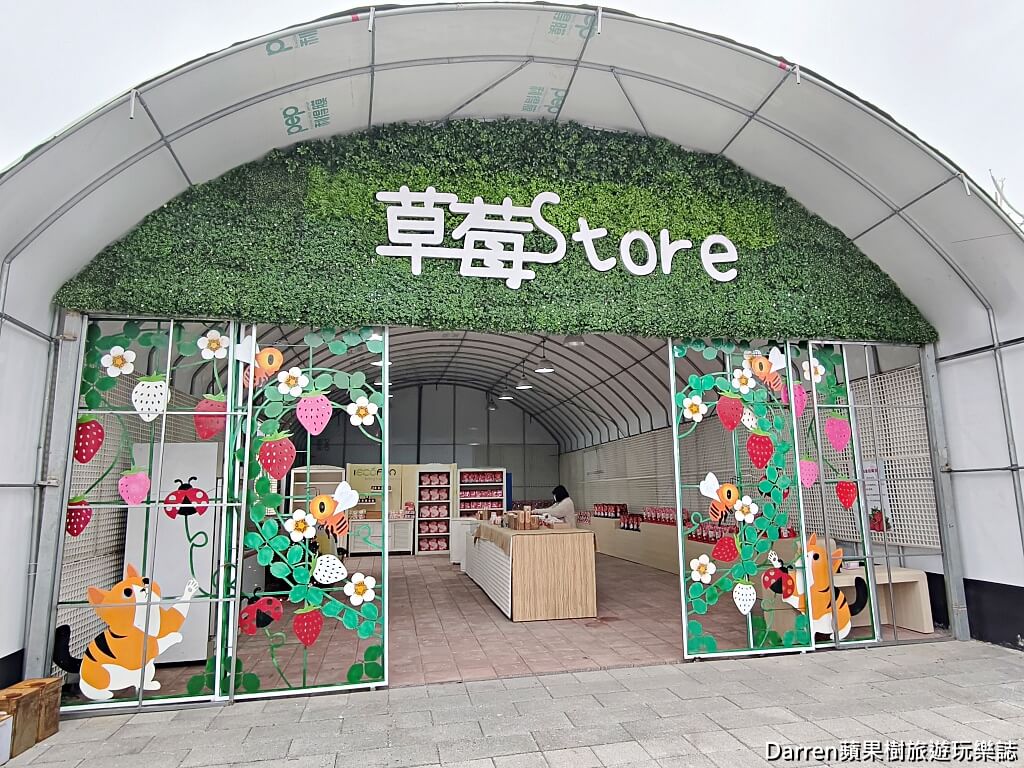草莓學校
