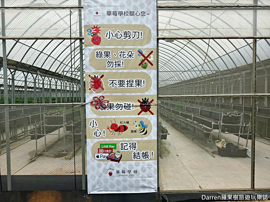 草莓學校