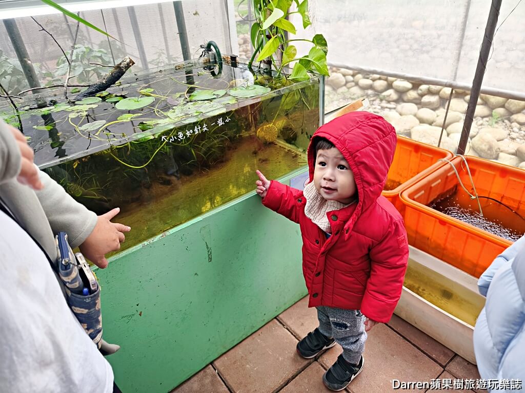 草莓學校