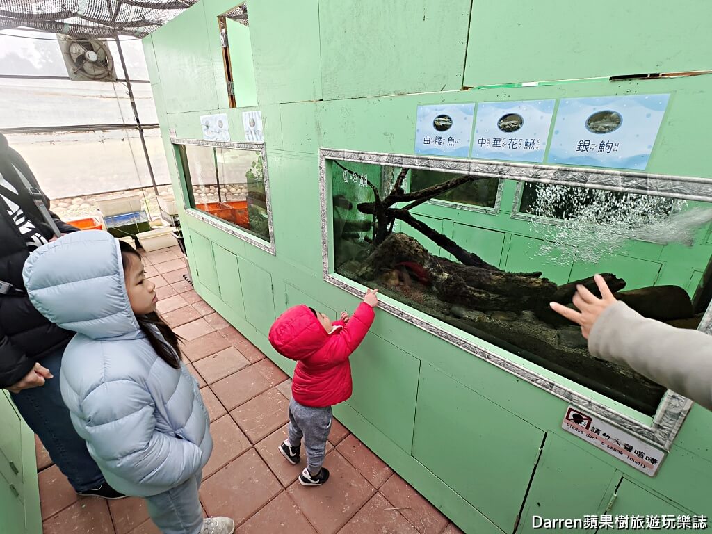 草莓學校