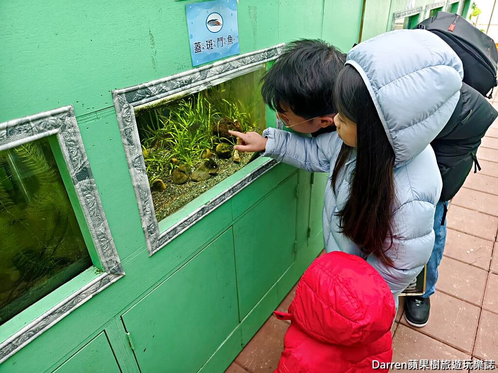 草莓學校