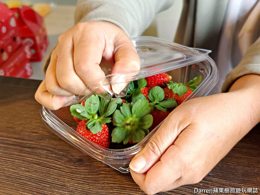 草莓學校