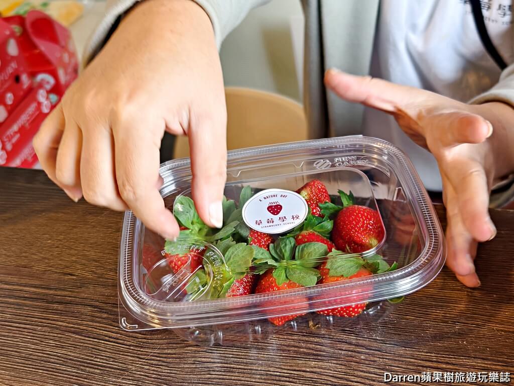 草莓學校