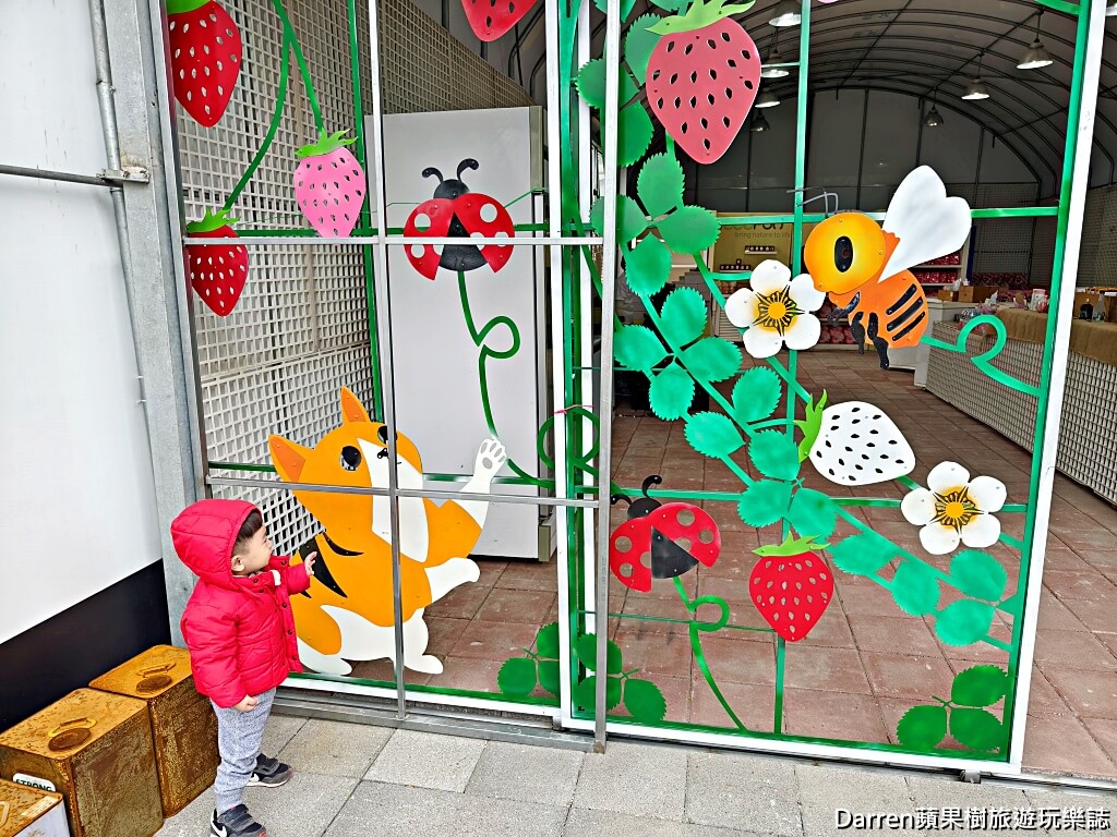 草莓學校