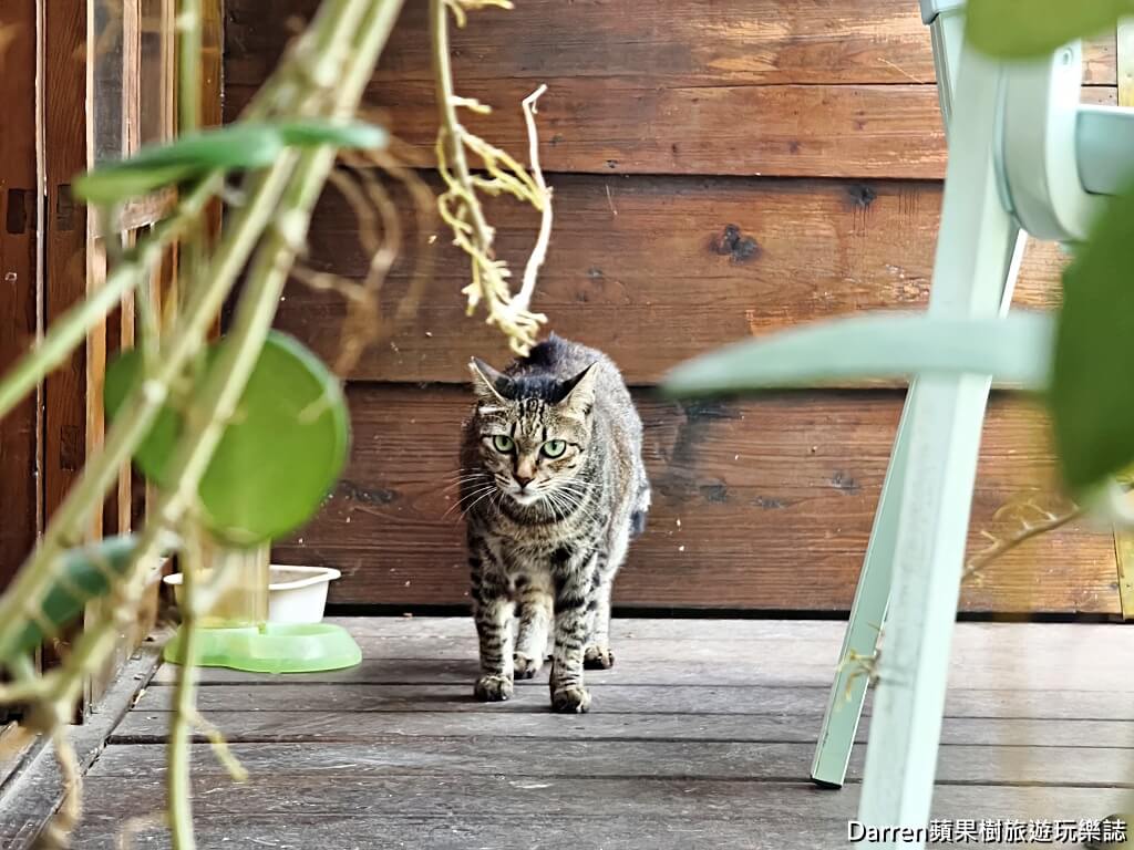 凹凸咖啡館