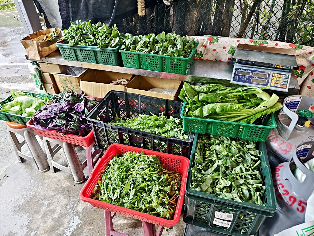草山風情藥膳餐廳陽明山麻油雞