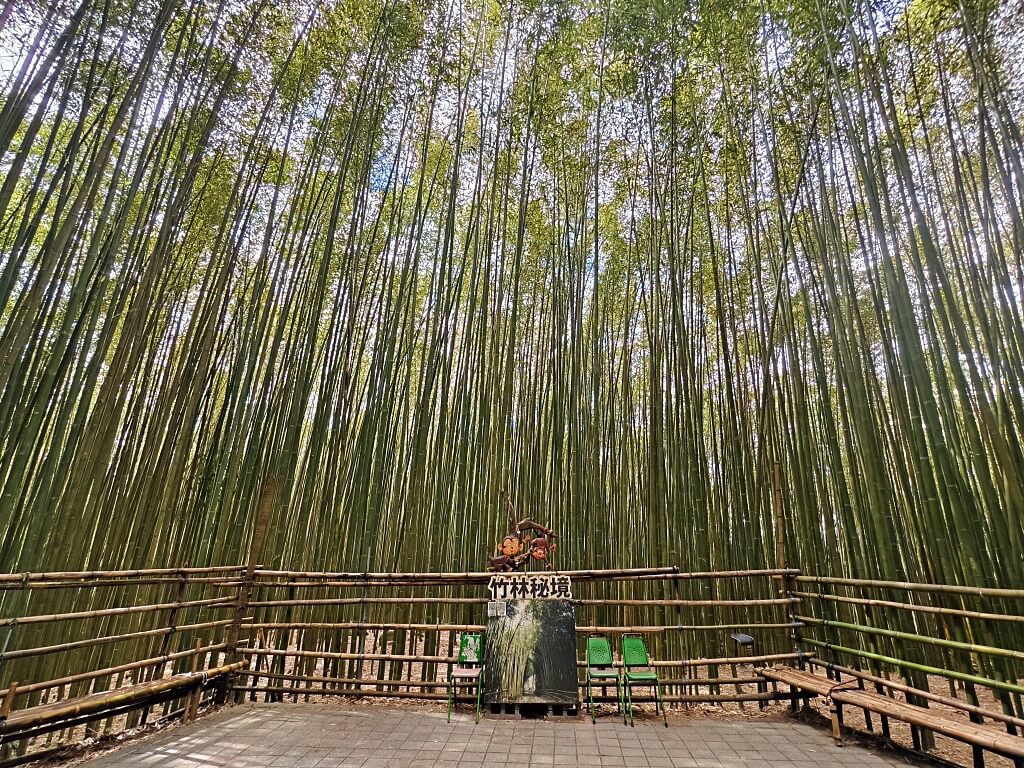 泰安竹林秘境