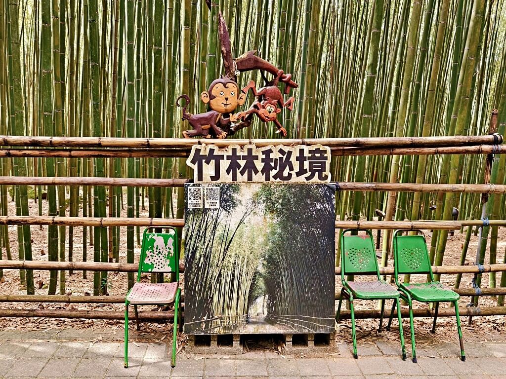 泰安竹林秘境