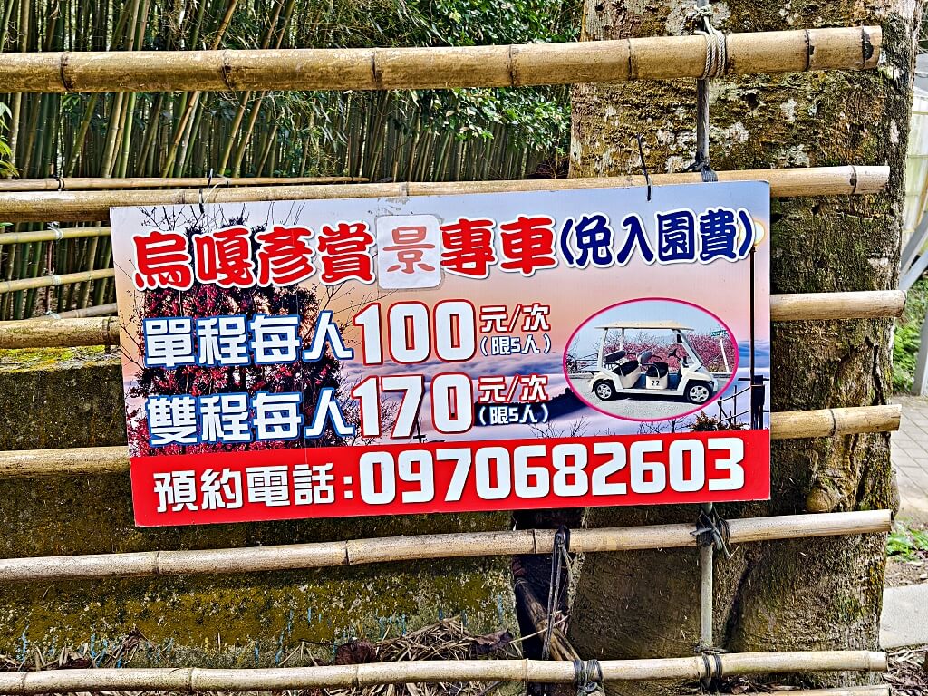泰安竹林秘境