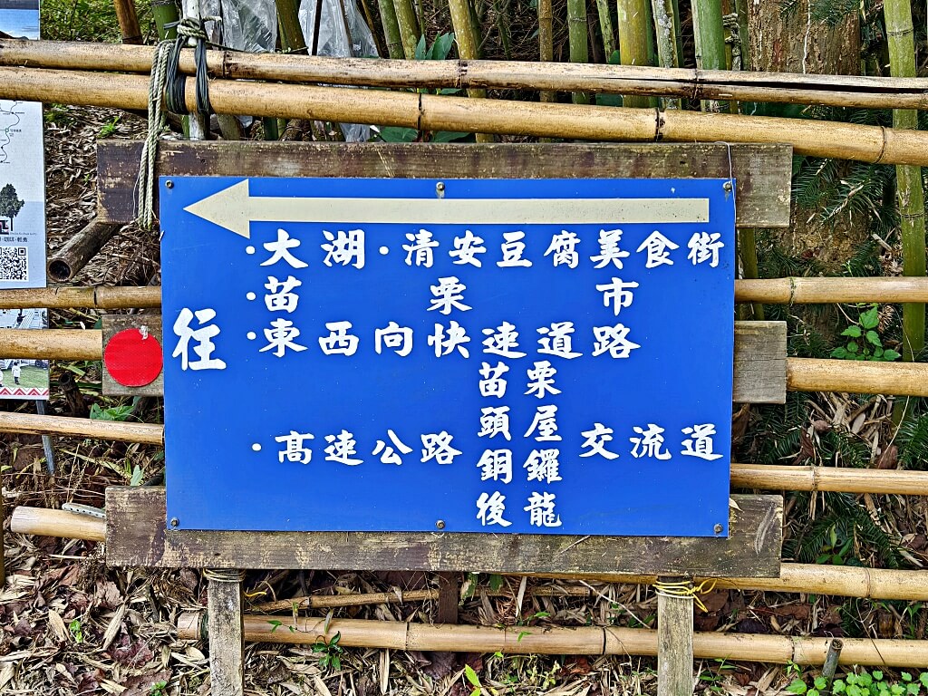 泰安竹林秘境