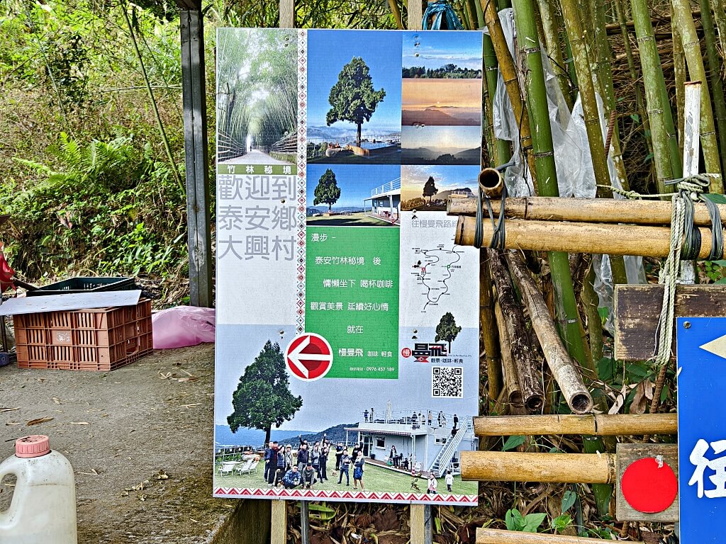 泰安竹林秘境