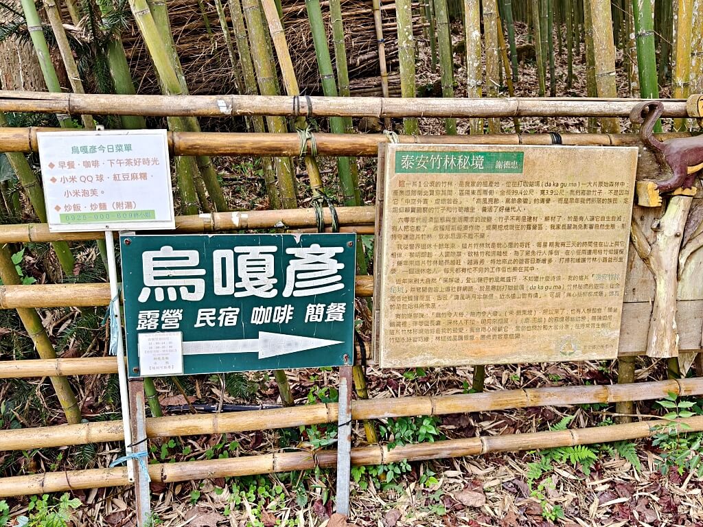 泰安竹林秘境