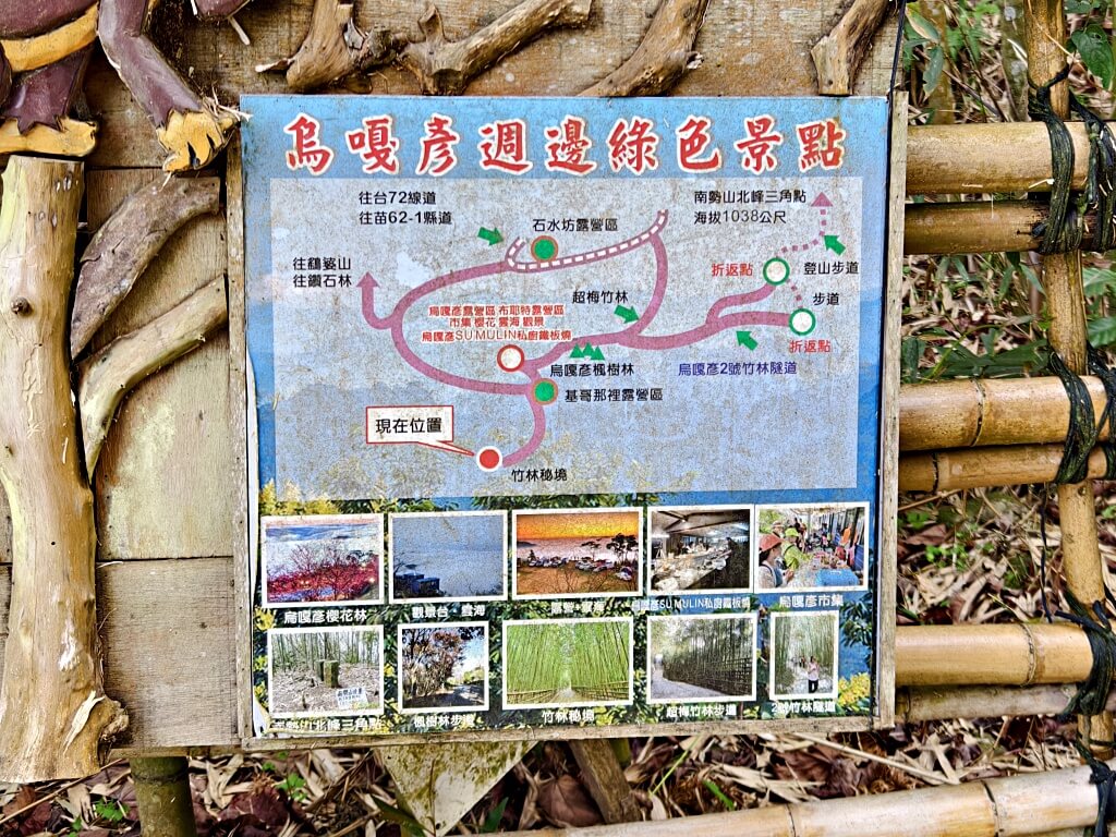 泰安竹林秘境