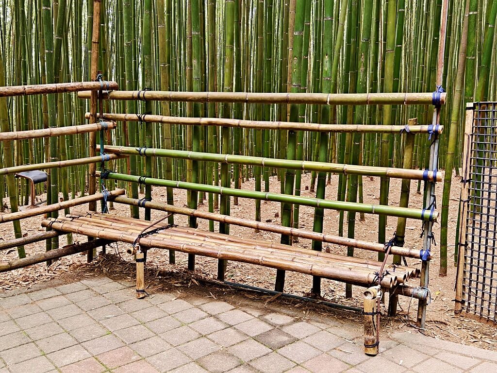 泰安竹林秘境