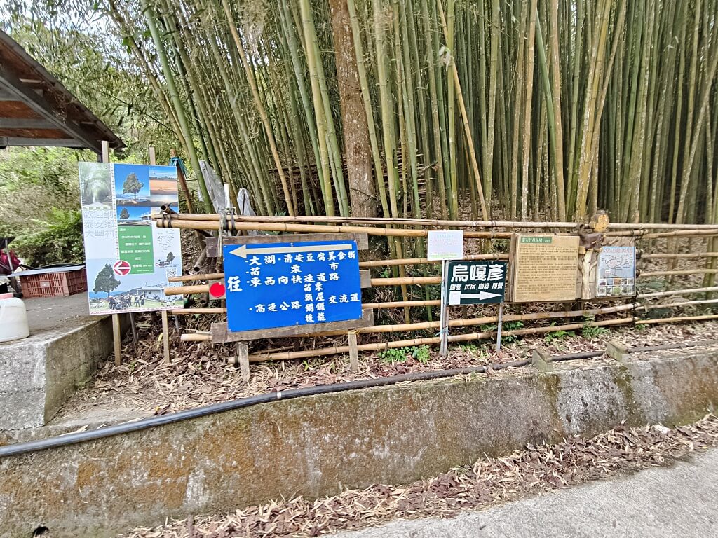 泰安竹林秘境