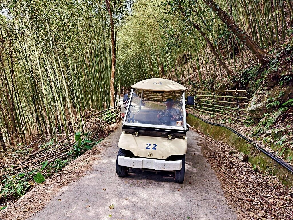 泰安竹林秘境