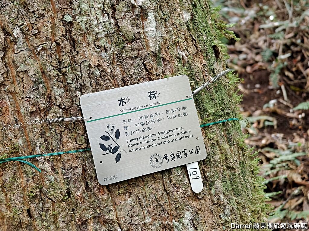 雪見遊憩區
