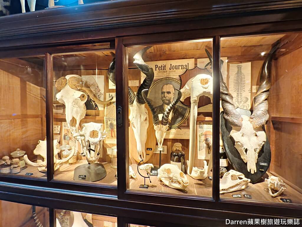 仰角舶物,仰角舶物民權店
