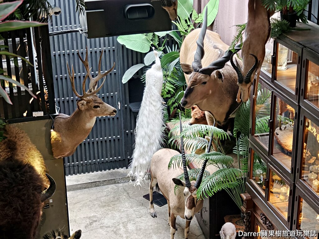 仰角舶物,仰角舶物民權店