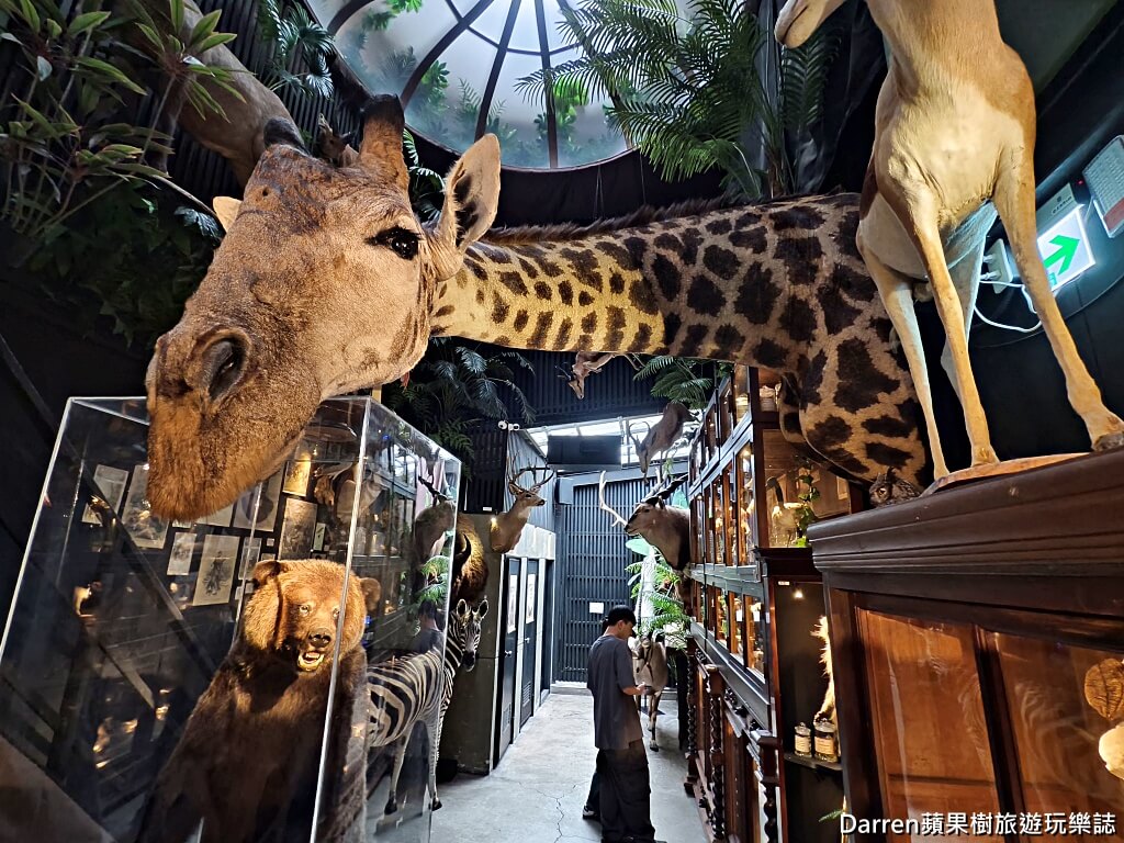 仰角舶物,仰角舶物民權店