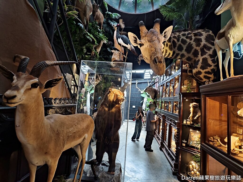 仰角舶物,仰角舶物民權店