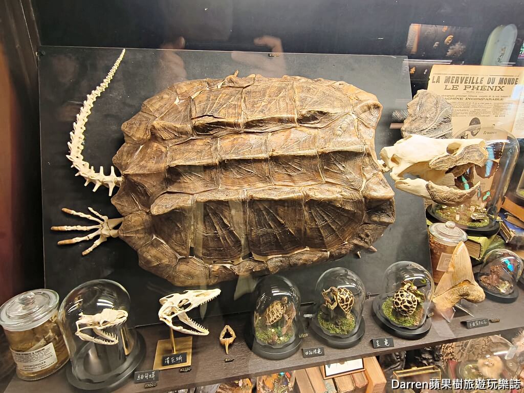 仰角舶物,仰角舶物民權店