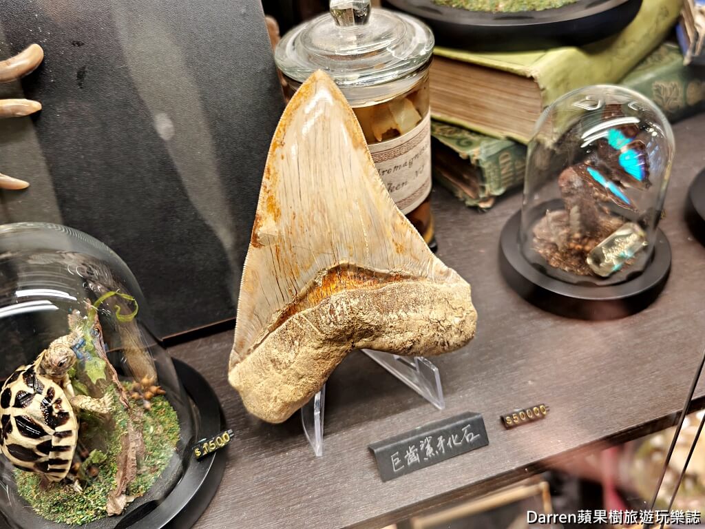 仰角舶物,仰角舶物民權店