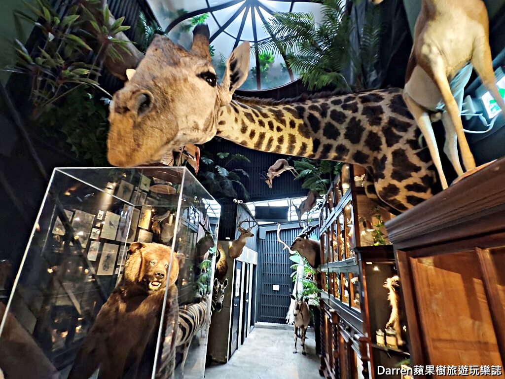 仰角舶物,仰角舶物民權店