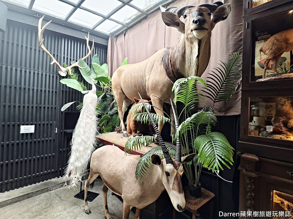 仰角舶物,仰角舶物民權店