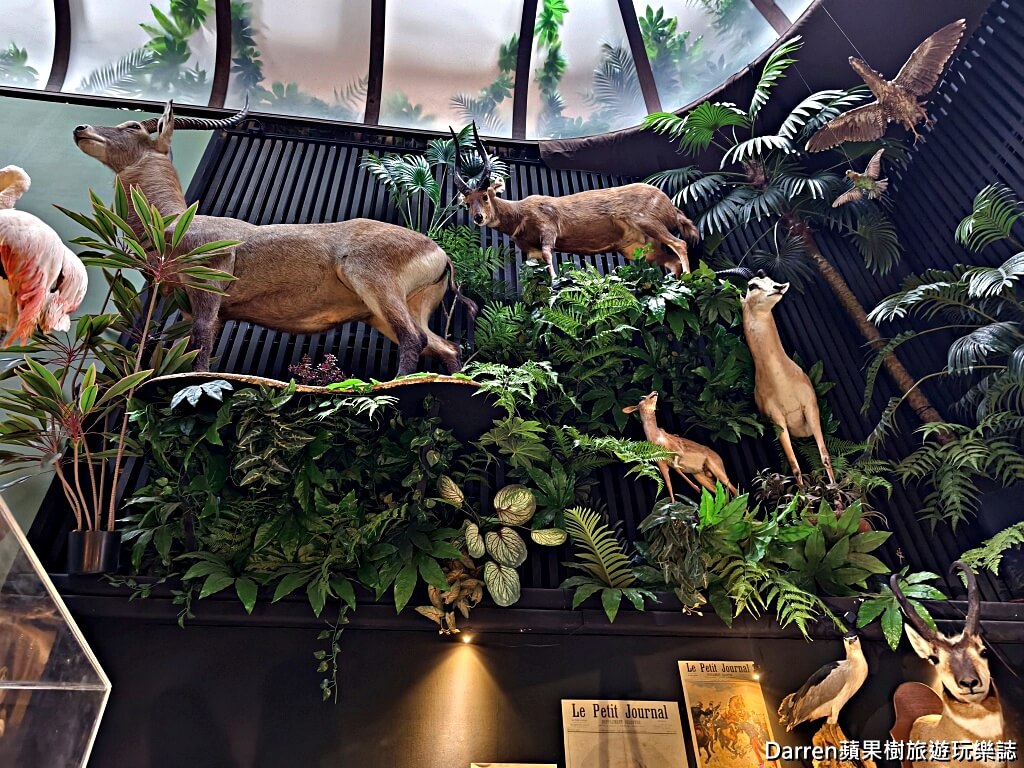 仰角舶物,仰角舶物民權店