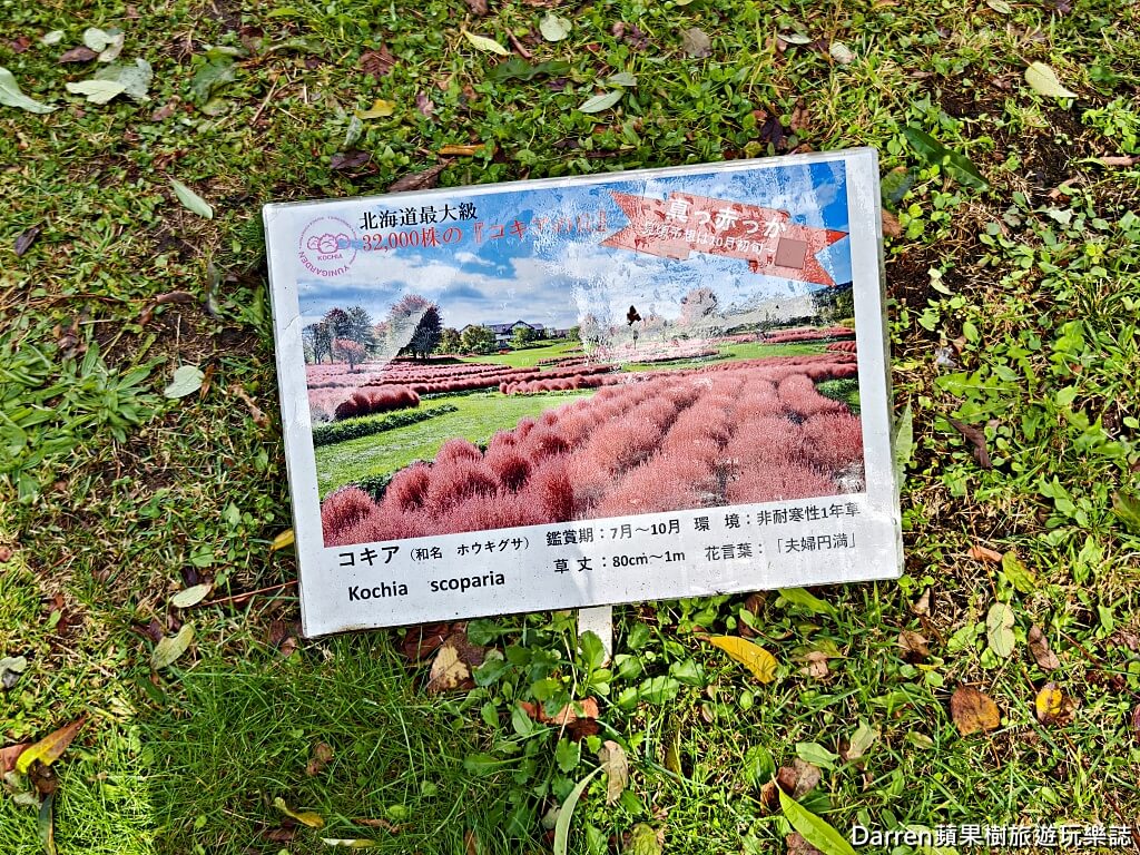 由仁花園,北海道景點,波波草,Yuni Garden