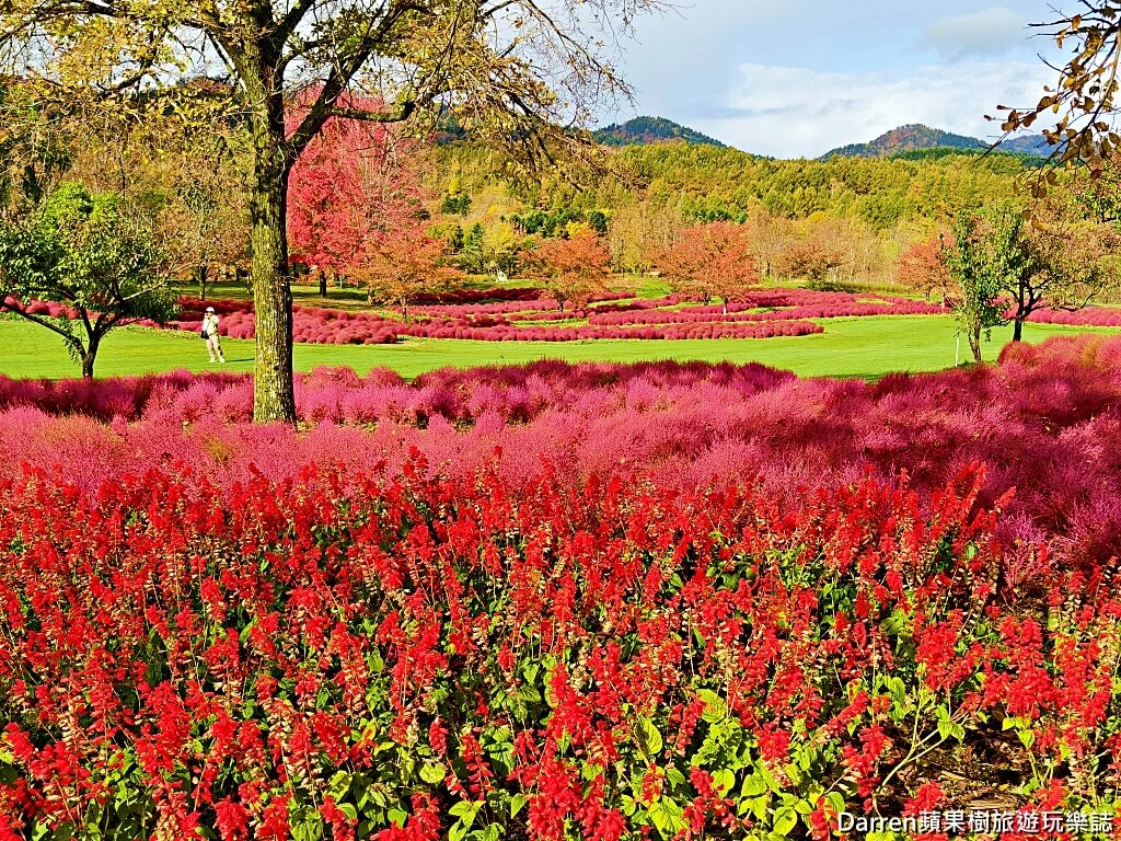 由仁花園,北海道景點,波波草,Yuni Garden