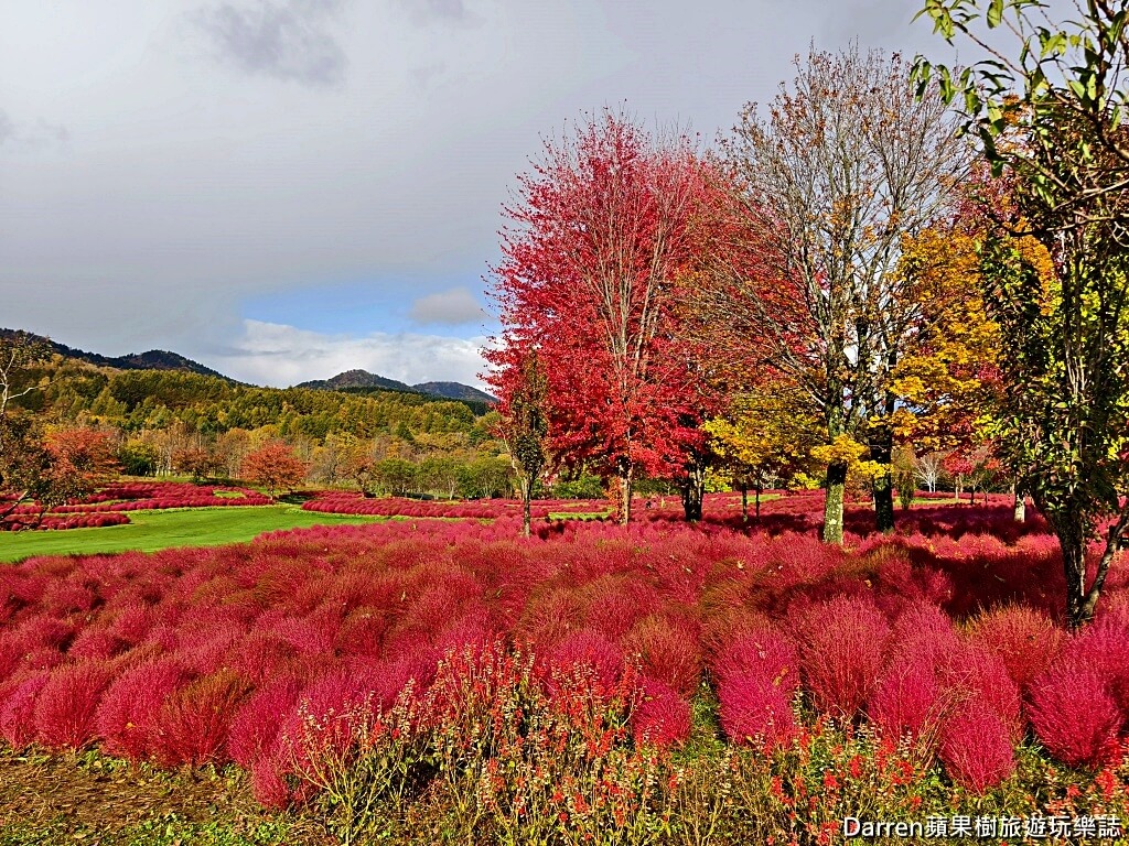 由仁花園,北海道景點,波波草,Yuni Garden
